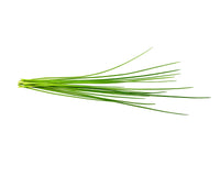 Chives Chives Plant Pods