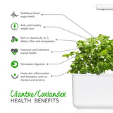 Cilantro / coriandre Plant Pods