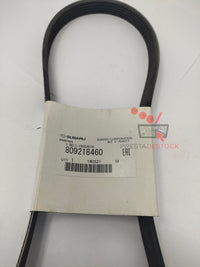 courroies en V pour Forester, Impreza, Legacy,Outback, STI, WRX 809218460 5PK874 01L8109 1062