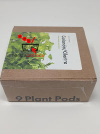 Cilantro / coriandre Plant Pods