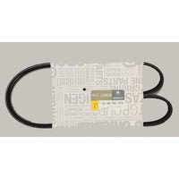 V-Ribbed Belt (Accessory Belt) DAYCO- 5PK1125 for RENAULT 82 00 786 314